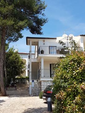 Property - Apartments 3373 Property Rovinj (Rovinj) - Accommodation 3373 - Apartments near sea with pebble beach.