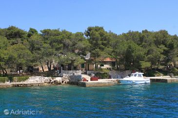Property Lavdara, Dugi otok, Property 3454 - Apartments blizu mora.