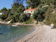 Apartments Uvala Torac (Hvar) - 4044