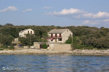 Property - Rooms 4061 Property Mulobedanj (Pag) - Accommodation 4061 - Rooms near sea with pebble beach.