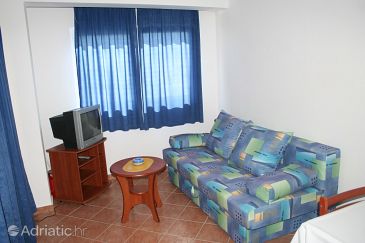 Living room Mandre, Living room u smještaju tipa apartment, dostupna klima, dopusteni kucni ljubimci i WIFI.