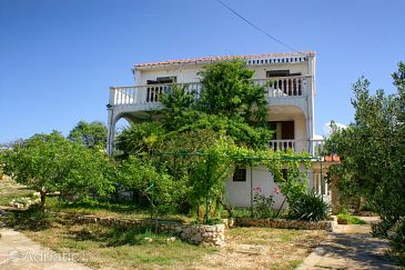 Property - Apartments 4103 Property Novalja (Pag) - Accommodation 4103 - Apartments in Croatia.