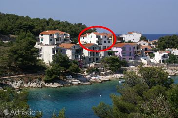 Property - Apartments 4191 Property Bilo (Primošten) - Accommodation 4191 - Apartments near sea.