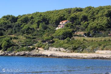 Property - Apartments 4418 Property Lumbarda (Korčula) - Accommodation 4418 - Apartments with sandy beach.