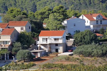 Property - Apartments 4471 Property Lumbarda (Korčula) - Accommodation 4471 - Apartments with pebble beach.