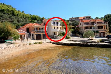 Property - Apartments 4488 Property Gršćica (Korčula) - Accommodation 4488 - Apartments near sea.