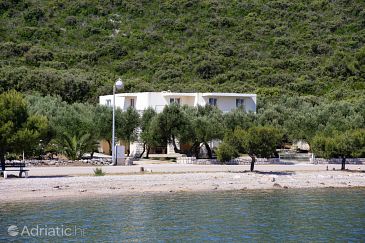 Property - Apartments 4529 Property Drače (Pelješac) - Accommodation 4529 - Apartments near sea with pebble beach.