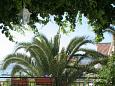 Shared terrace - view Shared terrace - view - Room S-4556-b - Apartments and Rooms Sreser (Pelješac) - 4556