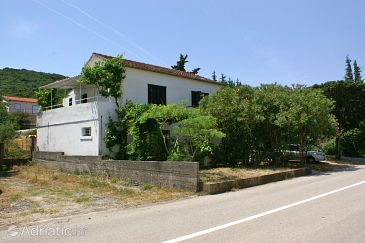Property - Apartments 4561 Property Drače (Pelješac) - Accommodation 4561 - Apartments near sea with pebble beach.