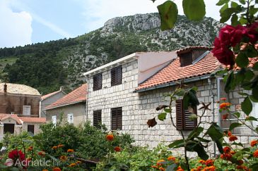 Property - Apartments 4567 Property Trstenik (Pelješac) - Accommodation 4567 - Apartments near sea with pebble beach.