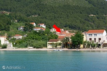 Property - Apartments and Rooms 4576 Property Žuljana (Pelješac) - Accommodation 4576 - Apartments and Rooms near sea with sandy beach.