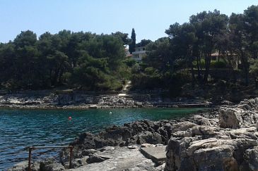 Property - Apartments 4621 Property Jelsa (Hvar) - Accommodation 4621 - Apartments near sea.