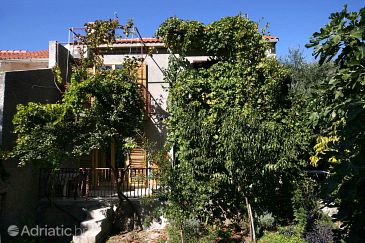 Property - Apartments 4658 Property Bol (Brač) - Accommodation 4658 - Apartments with pebble beach.