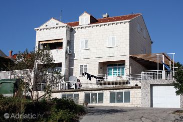 Property - Rooms 4682 Property Dubrovnik (Dubrovnik) - Accommodation 4682 - Rooms with pebble beach.