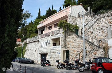 Property - Apartments 4683 Property Dubrovnik (Dubrovnik) - Accommodation 4683 - Apartments with pebble beach.