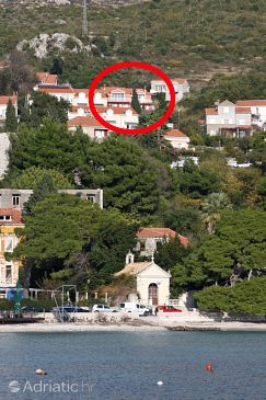 Property - Apartments 4755 Property Mlini (Dubrovnik) - Accommodation 4755 - Apartments with pebble beach.