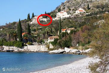 Property - Apartments and Rooms 4766 Property Soline (Dubrovnik) - Accommodation 4766 - Apartments and Rooms in Croatia.