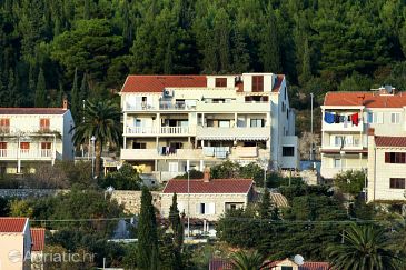Property Dubrovnik, Dubrovnik, Property 4779 - Apartments with pebble beach.