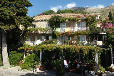Property - Apartments and Rooms 4780 Property Mlini (Dubrovnik) - Accommodation 4780 - Apartments and Rooms near sea with pebble beach.