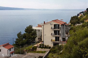 Property - Apartments 4873 Property Zavode (Omiš) - Accommodation 4873 - Apartments near sea with pebble beach.
