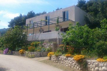 Property - Apartments and Rooms 4907 Property Saplunara (Mljet) - Accommodation 4907 - Apartments and Rooms near sea.