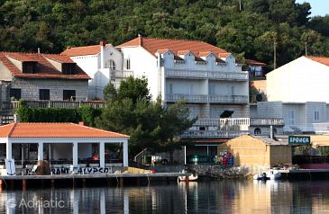 Property - Apartments 4911 Property Polače (Mljet) - Accommodation 4911 - Apartments near sea.