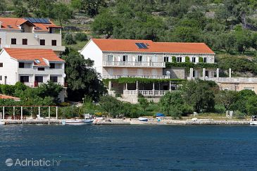 Property - Apartments 4920 Property Soline (Mljet) - Accommodation 4920 - Apartments near sea.