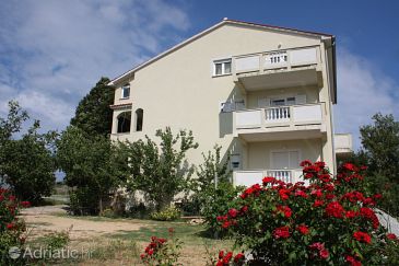 Property - Apartments 4953 Property Mundanije (Rab) - Accommodation 4953 - Apartments in Croatia.