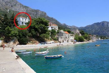 Property - Apartments 505 Property Brist (Makarska) - Accommodation 505 - Apartments near sea with pebble beach.