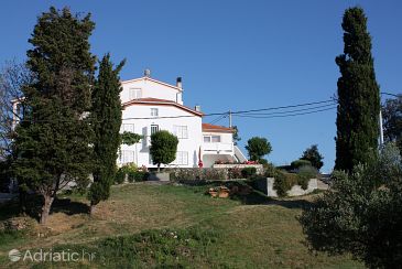 Property Kampor, Rab, Property 5059 - Apartments blizu mora with sandy beach.