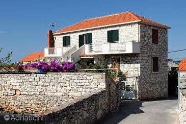 Property - Apartments 5189 Property Gornje selo (Šolta) - Accommodation 5189 - Apartments with pebble beach.