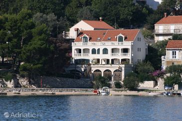 Property - Apartments and Rooms 5205 Property Slano (Dubrovnik) - Accommodation 5205 - Apartments and Rooms near sea with pebble beach.