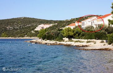 Property - Apartments 5212 Property Maslinica (Šolta) - Accommodation 5212 - Apartments near sea.