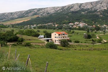 Property - Apartments 5401 Property Batomalj (Krk) - Accommodation 5401 - Apartments with pebble beach.