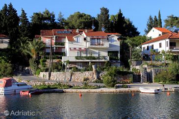 Property - Apartments 541 Property Vrboska (Hvar) - Accommodation 541 - Apartments near sea with rocky beach.