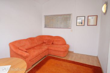 Living room Brzac, Living room u smještaju tipa apartment, dostupna klima i dopusteni kucni ljubimci.