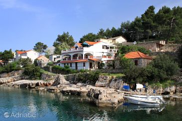 Property - Apartments 5699 Property Basina (Hvar) - Accommodation 5699 - Apartments near sea with pebble beach.