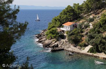 Property - Apartments 581 Property Uvala Torac (Hvar) - Accommodation 581 - Apartments near sea with pebble beach.
