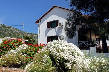 Property - Apartments 594 Property Zavala (Hvar) - Accommodation 594 - Apartments near sea with pebble beach.