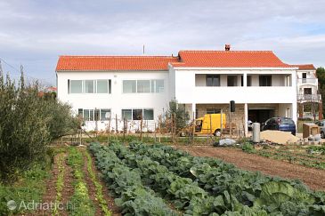 Property - Apartments 5944 Property Sukošan (Zadar) - Accommodation 5944 - Apartments near sea with rocky beach.
