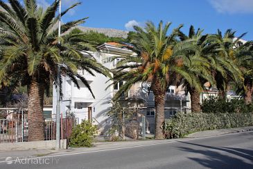 Property - Apartments 5987 Property Duće (Omiš) - Accommodation 5987 - Apartments near sea with pebble beach.