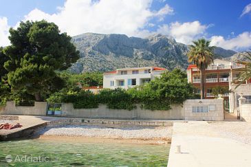Property - Apartments 5991 Property Orebić (Pelješac) - Accommodation 5991 - Apartments near sea with pebble beach.