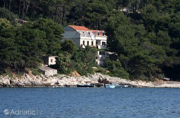 Property - Rooms 602 Property Saplunara (Mljet) - Accommodation 602 - Rooms near sea with sandy beach.