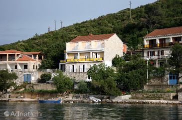 Property - Apartments and Rooms 604 Property Polače (Mljet) - Accommodation 604 - Apartments and Rooms near sea.