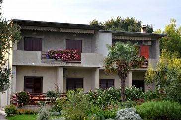 Property - Apartments 6176 Property Sukošan (Zadar) - Accommodation 6176 - Apartments near sea with pebble beach.