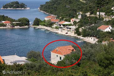 Property - Apartments 619 Property Prožurska Luka (Mljet) - Accommodation 619 - Apartments near sea.