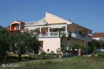 Property - Apartments 6213 Property Bibinje (Zadar) - Accommodation 6213 - Apartments with pebble beach.