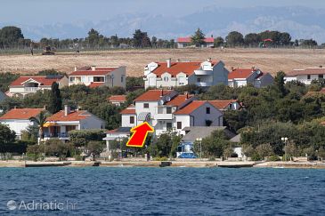 Property - Apartments and Rooms 6259 Property Petrčane (Zadar) - Accommodation 6259 - Apartments and Rooms near sea with pebble beach.