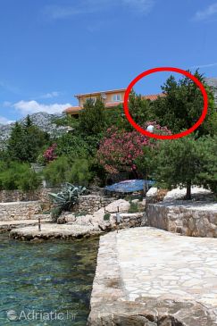 Property - Apartments 6592 Property Starigrad (Paklenica) - Accommodation 6592 - Apartments near sea.