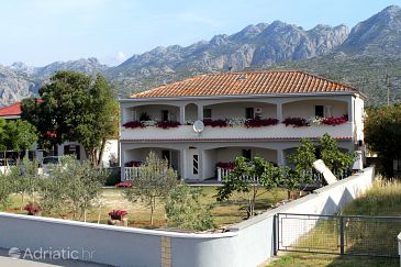 Property - Apartments 6603 Property Seline (Paklenica) - Accommodation 6603 - Apartments with pebble beach.